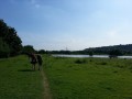 2013-07-18 17_12 102